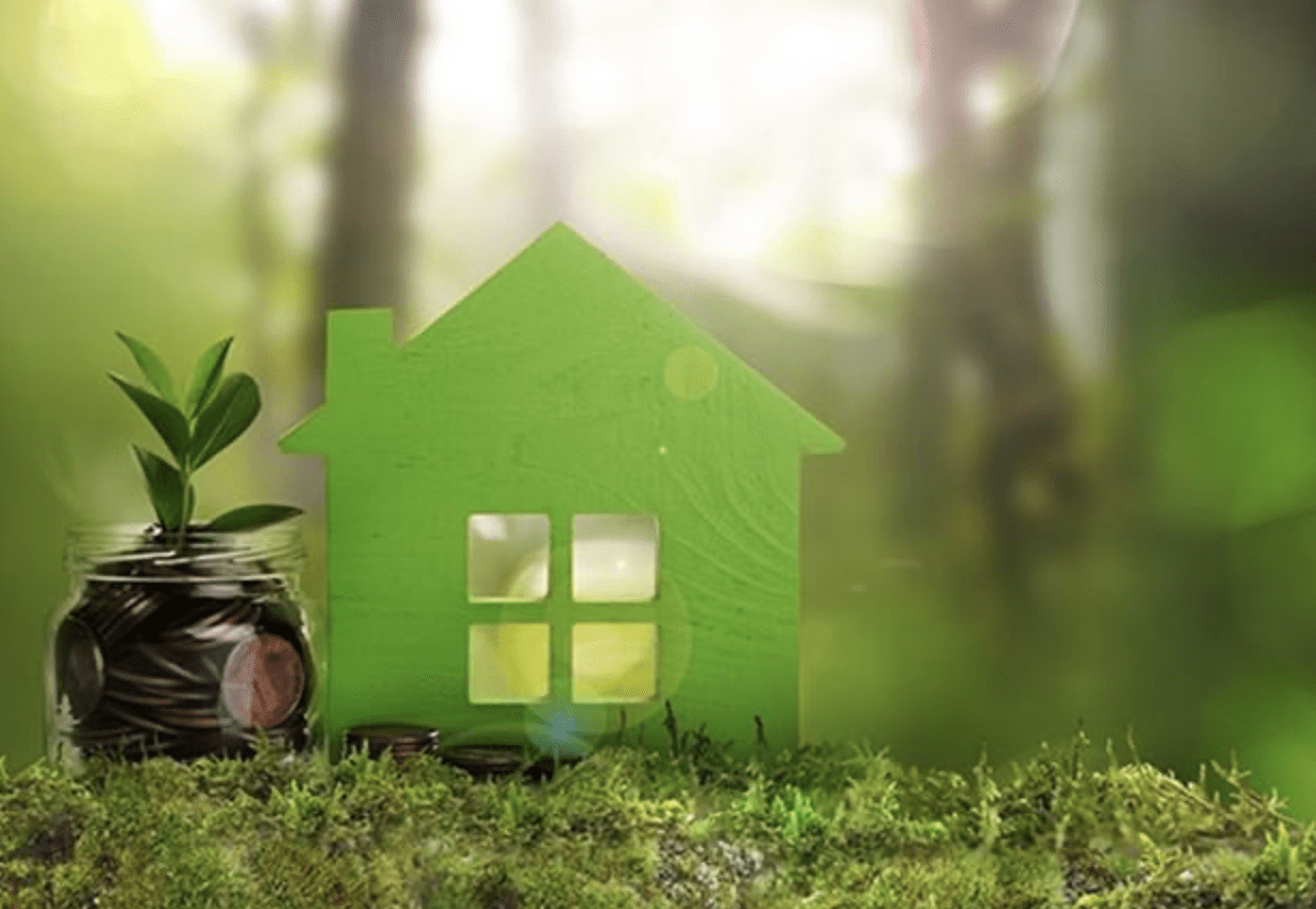 Are There Any Eco-Friendly Insulation Options?